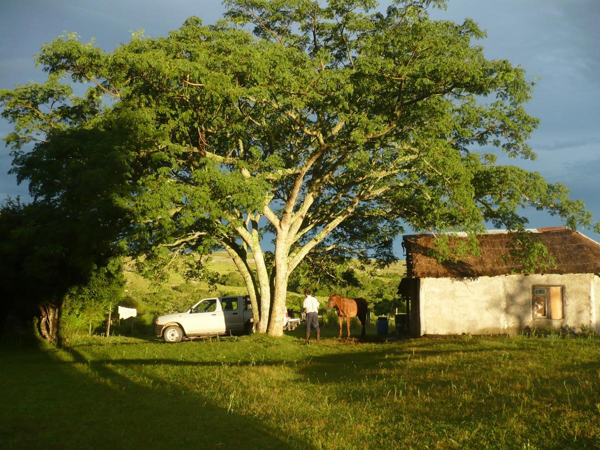 Canada Del Brujo Hotel Quebrada de los Cuervos ภายนอก รูปภาพ